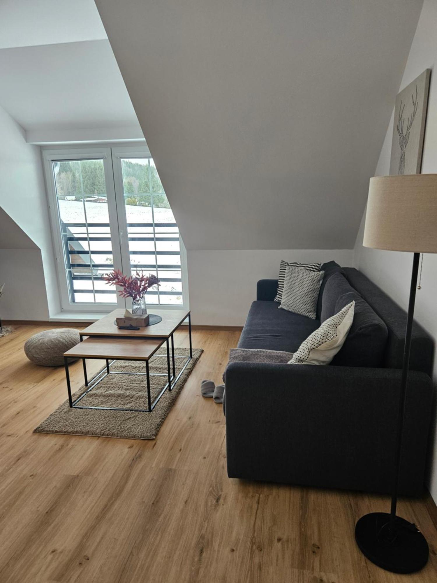 Horsky Apartman Miki Filipovice Экстерьер фото
