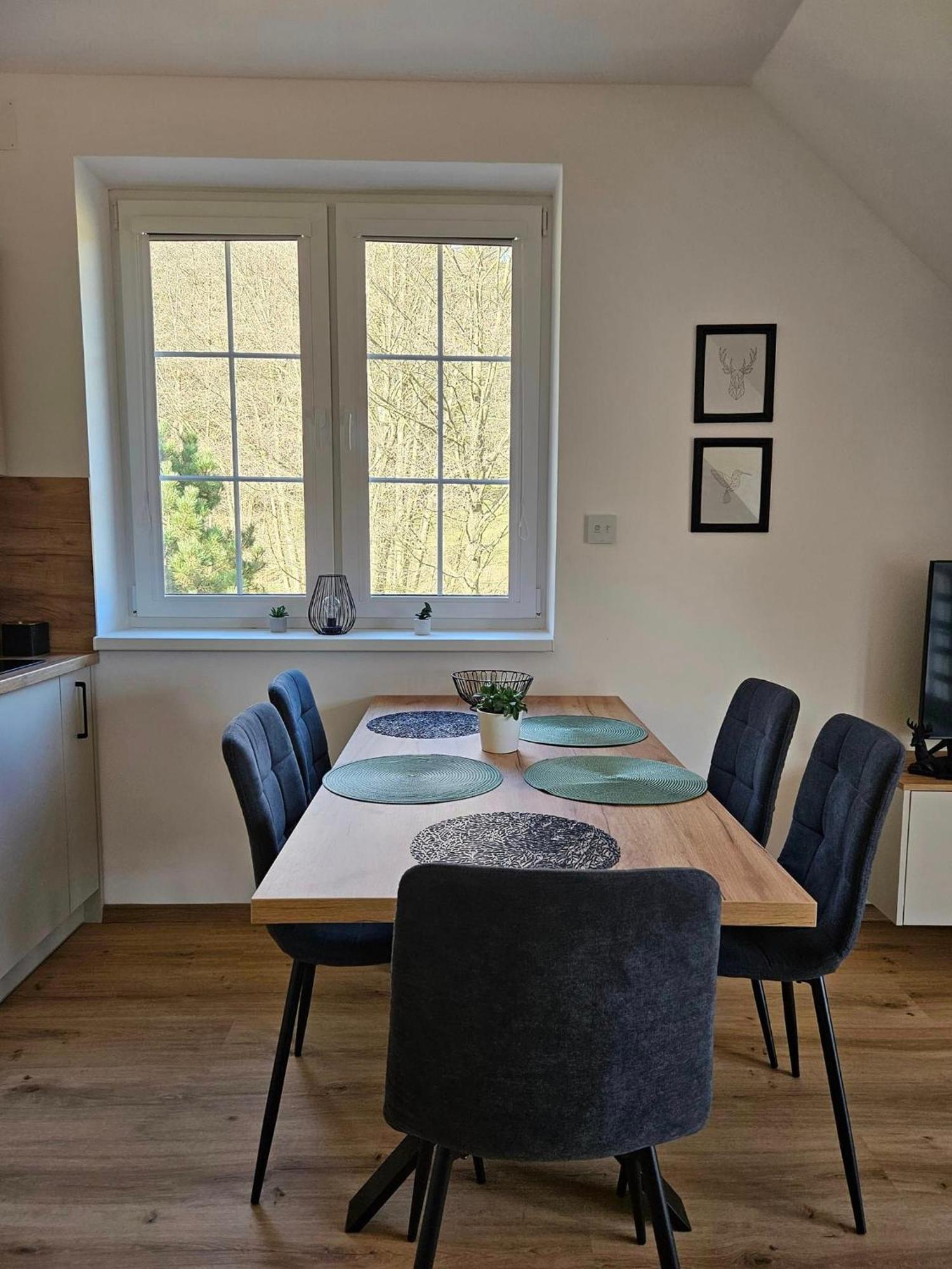 Horsky Apartman Miki Filipovice Экстерьер фото